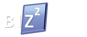 Bizsquare Group